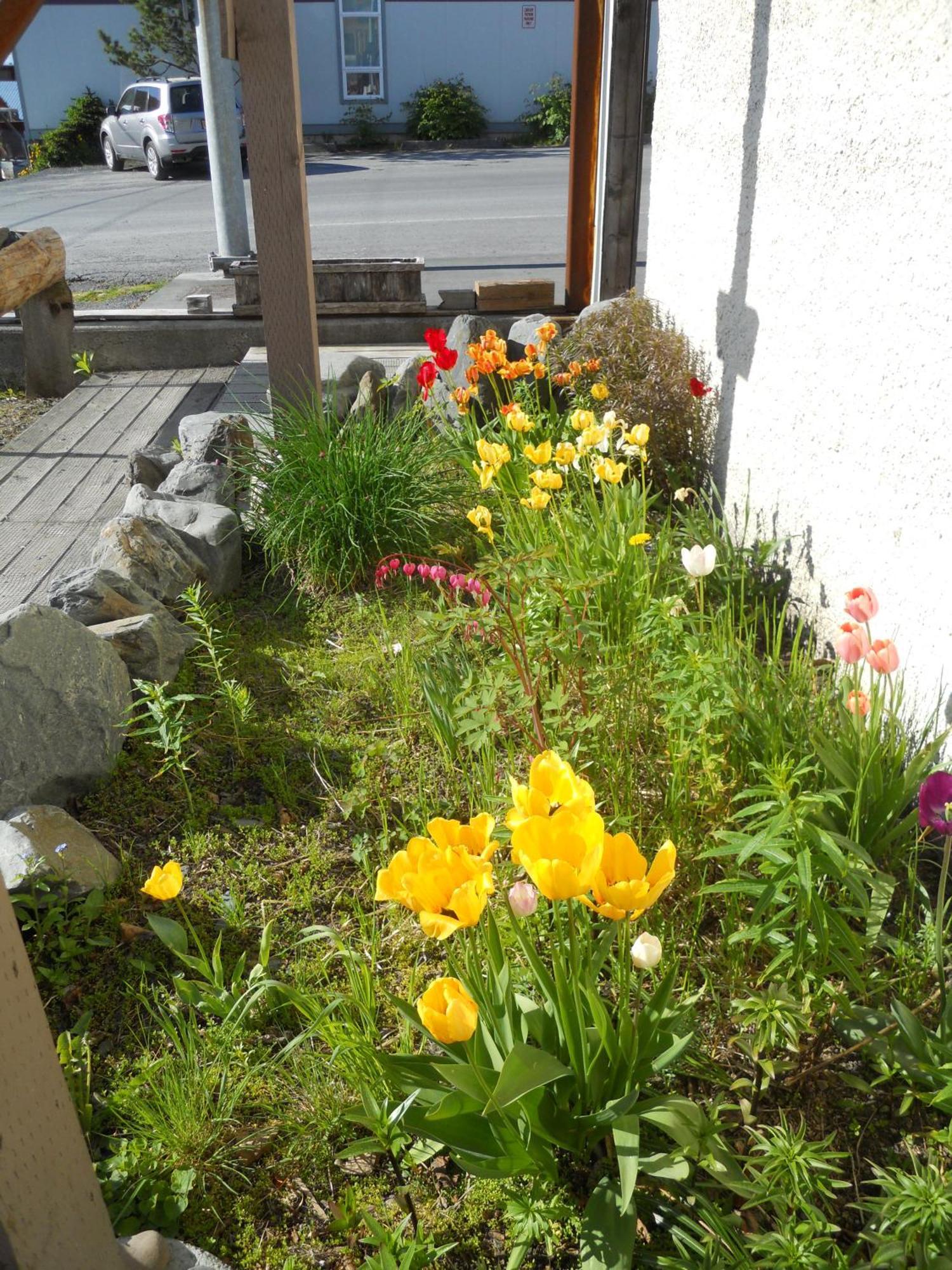 A Swan Nest Inn Seward Exterior photo